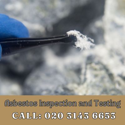 Comprehensive Asbestos Inspection and Testing Services in Thamesmead